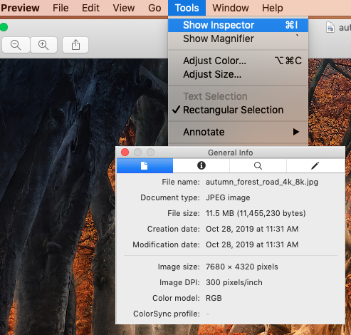 How to check the pixel size of photos (PC/Mac)